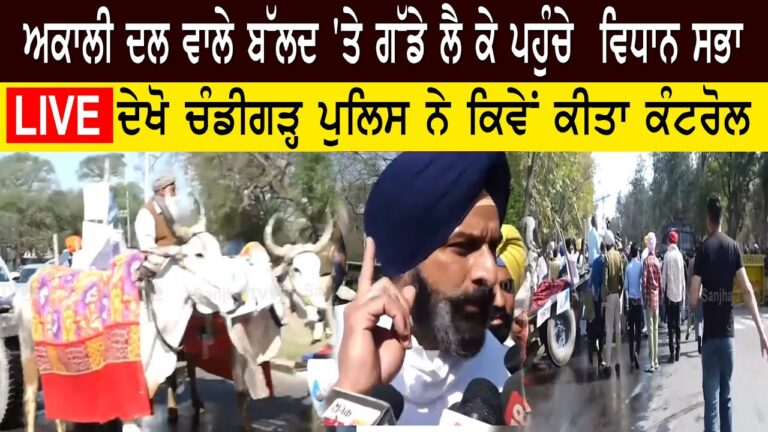 ਅਕਾਲੀ ਦਲ ਵਾਲੇ ਬੱਲਦ 'ਤੇ ਗੱਡੇ ਲੈ ਕੇ ਪਹੁੰਚੇ ਵਿਧਾਨ ਸਭਾ