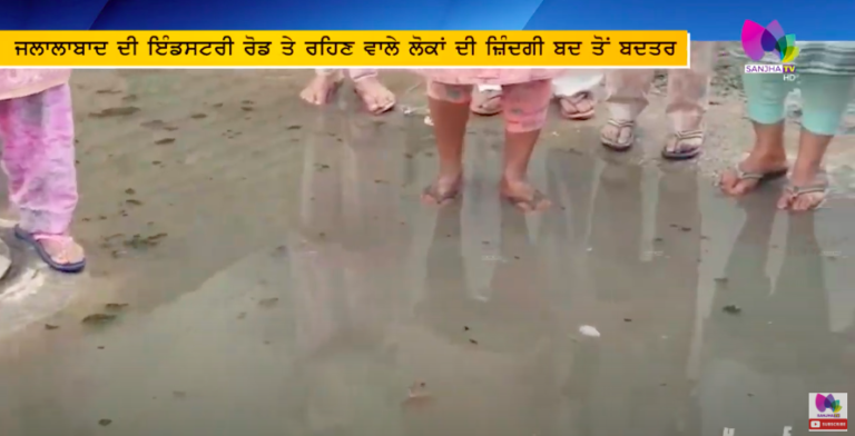 ਜਲਾਲਾਬਾਦ ਦੀ ਇੰਡਸਟਰੀ ਰੋਡ ਤੇ ਰਹਿਣ ਵਾਲੇ ਲੋਕਾਂ ਦੀ ਜ਼ਿੰਦਗੀ ਬਦ ਤੋਂ ਬਦਤਰ | Sanjha TV