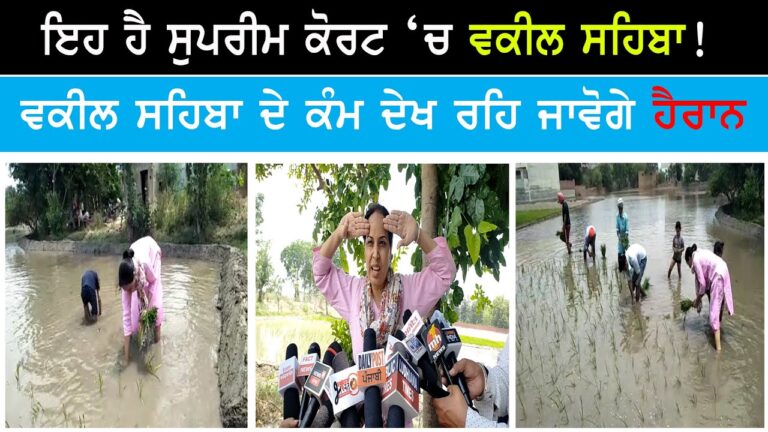 ਵਕੀਲ ਸਹਿਬਾ ਦੇ ਕੰਮ ਦੇਖ ਰਹਿ ਜਾਵੋਗੇ ਹੈਰਾਨ