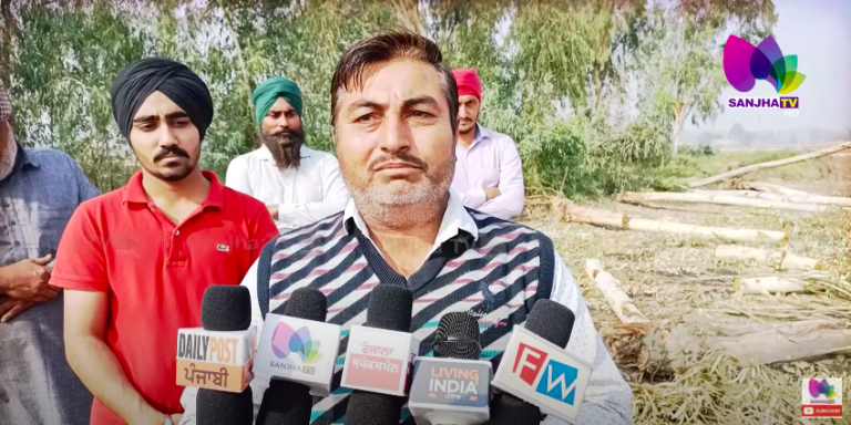 ਜਲਾਲਾਬਾਦ ਦੇ ਜੰਡਵਾਲਾ ਵਿਚ ਪਿੰਡ ਦੇ ਹੀ ਵਸਨੀਕਾਂ ਤੇ ਵੀਹ ਦੇ ਕਰੀਬ ਸਫੈਦੇ ਦੇ ਦਰੱਖਤ ਚੋਰੀ ਕਰਨ ਦੇ ਲਗੇ ਇਲਜ਼ਾਮ