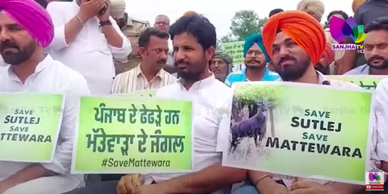 ਮੱਤੇਵਾੜਾ ਜੰਗਲਾਂ ਨੂੰ ਬਚਾਉਣ ਪੁੱਜ ਗਿਆ ਪੂਰਾ ਪੰਜਾਬ, ਦੇਖੋ ਕਿਵੇਂ ਸਤਲੁਜ ਦਰਿਆ ਦੇ ਕੰਡੇ ‘ਤੇ ਹੋ ਗਿਆ ਭਾਰੀ ਇਕੱਠ ?