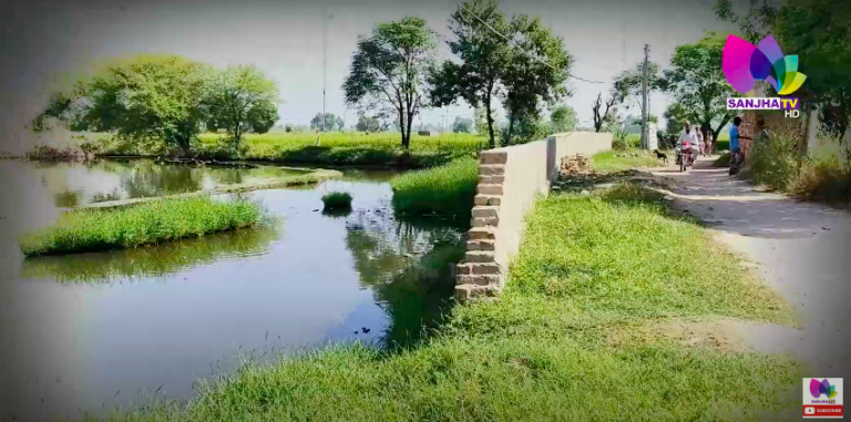 ਜਲਾਲਾਬਾਦ ਦੇ ਪਿੰਡ ਕੱਚਾ ਵਾਲੇ ਦੇ ਪੰਚਾਇਤ ਮੈਂਬਰਾਂ ਵੱਲੋਂ ਪਾਈ RTI ‘ਚ ਹੋਗੇ ਵੱਡੇ ਖੁਲਾਸੇ
