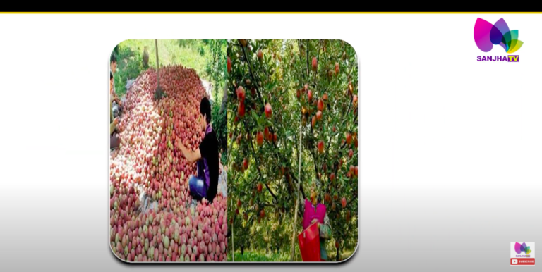 India’s Richest Village : ਇਸ ਪਿੰਡ ਦੇ ਕਿਸਾਨ ਕਮਾਉਂਦੇ 70 ਲੱਖ ਤੋਂ ਵੀ ਜ਼ਿਆਦਾ, ਦੇਖੋ ਕਿਵੇਂ.. | Sanjha TV