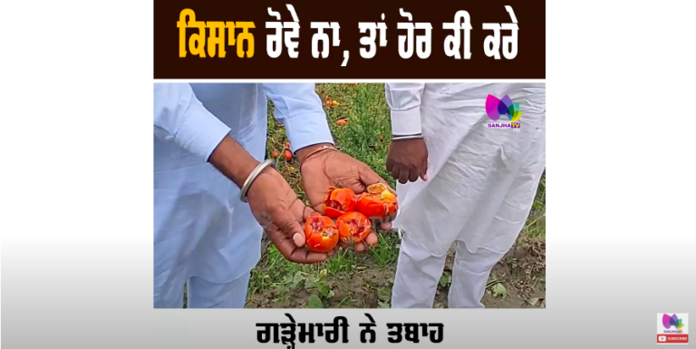 ਕਿਸਾਨ ਰੋਵੇ ਨਾ, ਤਾਂ ਹੋਰ ਕੀ ਕਰੇ ਗੜ੍ਹੇਮਾਰੀ ਨੇ ਤਬਾਹ ਕਰਤੀ ਪੁੱਤਾਂ ਵਾਂਗ ਪਾਲ਼ੀ ਫ਼ਸਲ