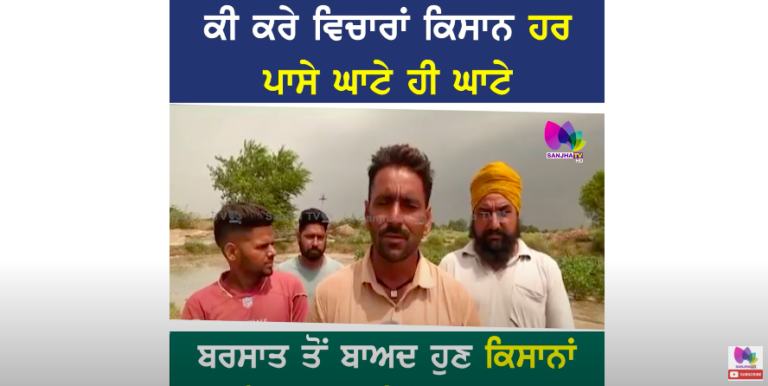 ਕੀ ਕਰੇ ਵਿਚਾਰਾਂ ਕਿਸਾਨ ਹਰ ਪਾਸੇ ਘਾਟੇ ਹੀ ਘਾਟੇ,ਬਰਸਾਤ ਤੋਂ ਬਾਅਦ ਹੁਣ ਕਿਸਾਨਾਂ ਨੂੰ ਗੁਲਾਬੀ ਸੁੰਡੀ ਦਾ ਡਰ!