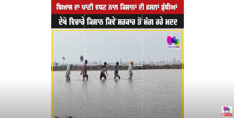ਬਿਆਸ ਦਾ ਪਾਣੀ ਵਧਣ ਨਾਲ ਕਿਸਾਨਾਂ ਦੀ ਫਸਲਾਂ ਡੁੱਬੀਆਂ,ਦੇਖੋ ਵਿਚਾਰੇ ਕਿਸਾਨ ਕਿਵੇਂ ਸਰਕਾਰ ਤੋਂ ਮੰਗ ਰਹੇ ਮਦਦ