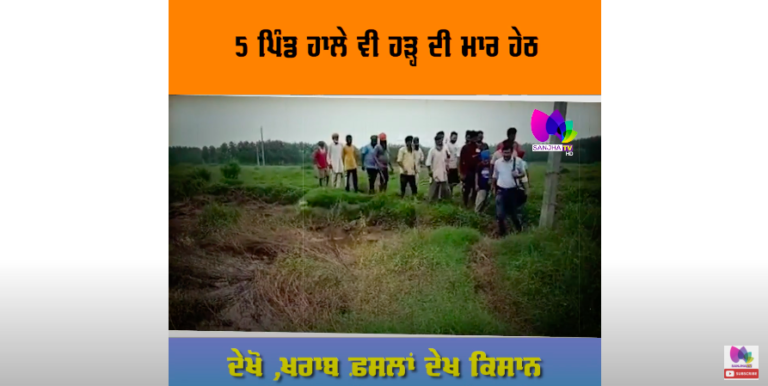 5 ਪਿੰਡ ਹਾਲੇ ਵੀ ਹੜ੍ਹ ਦੀ ਮਾਰ ਹੇਠ, ਦੇਖੋ ,ਖਰਾਬ ਫ਼ਸਲਾਂ ਦੇਖ ਕਿਸਾਨ ਕਿਵੇਂ ਕੱਢ ਰਹੇ ਸਰਕਾਰ ਦੇ ਹਾੜ੍ਹੇ